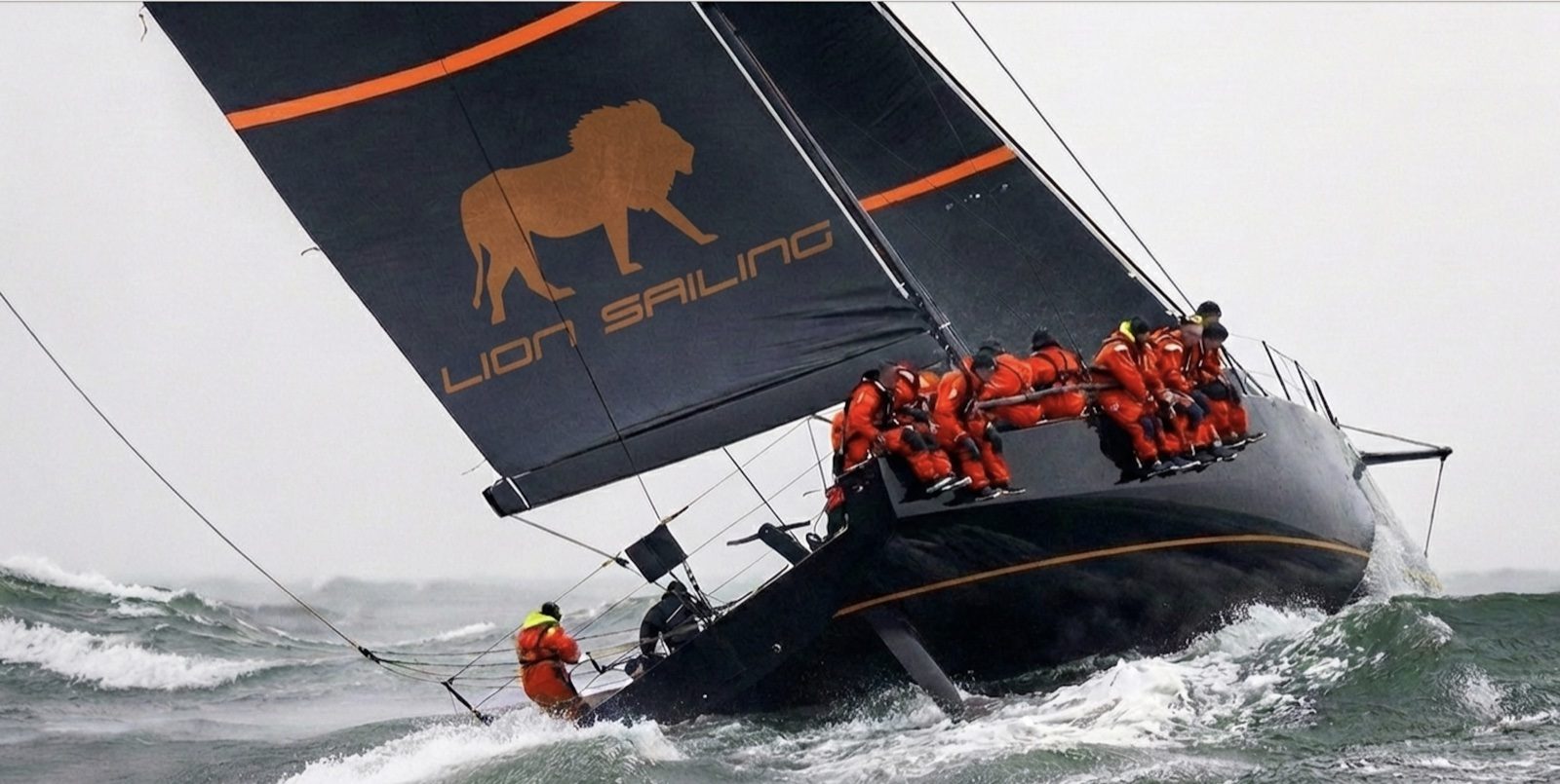 Lion Sailing paneled sails